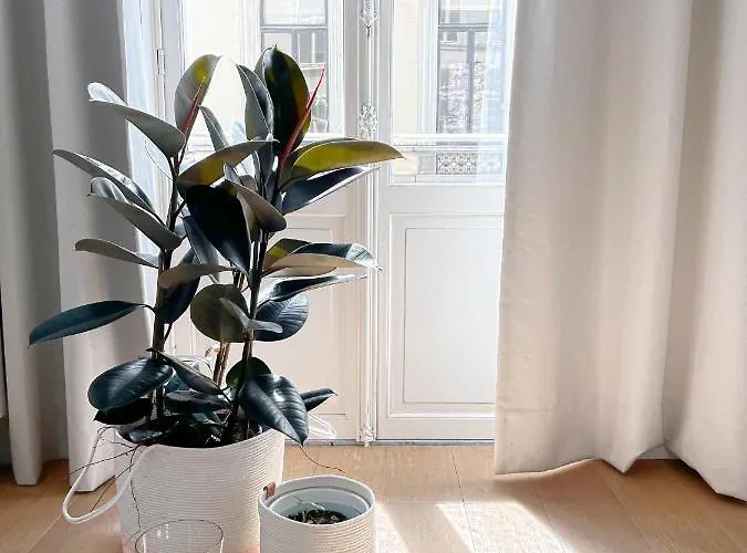 Appartement Jacob's Getaway